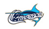 product-1-1 1mini logo