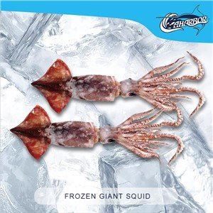 frozen-giant-squid01316999174