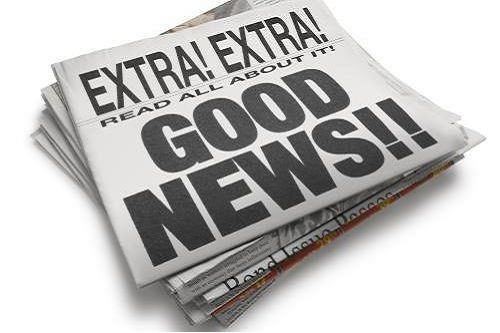 Les habitudes des céphalopodes