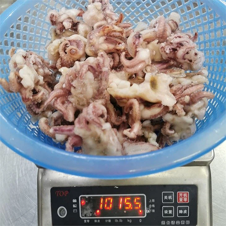 Frozen Squid Head Tentacle