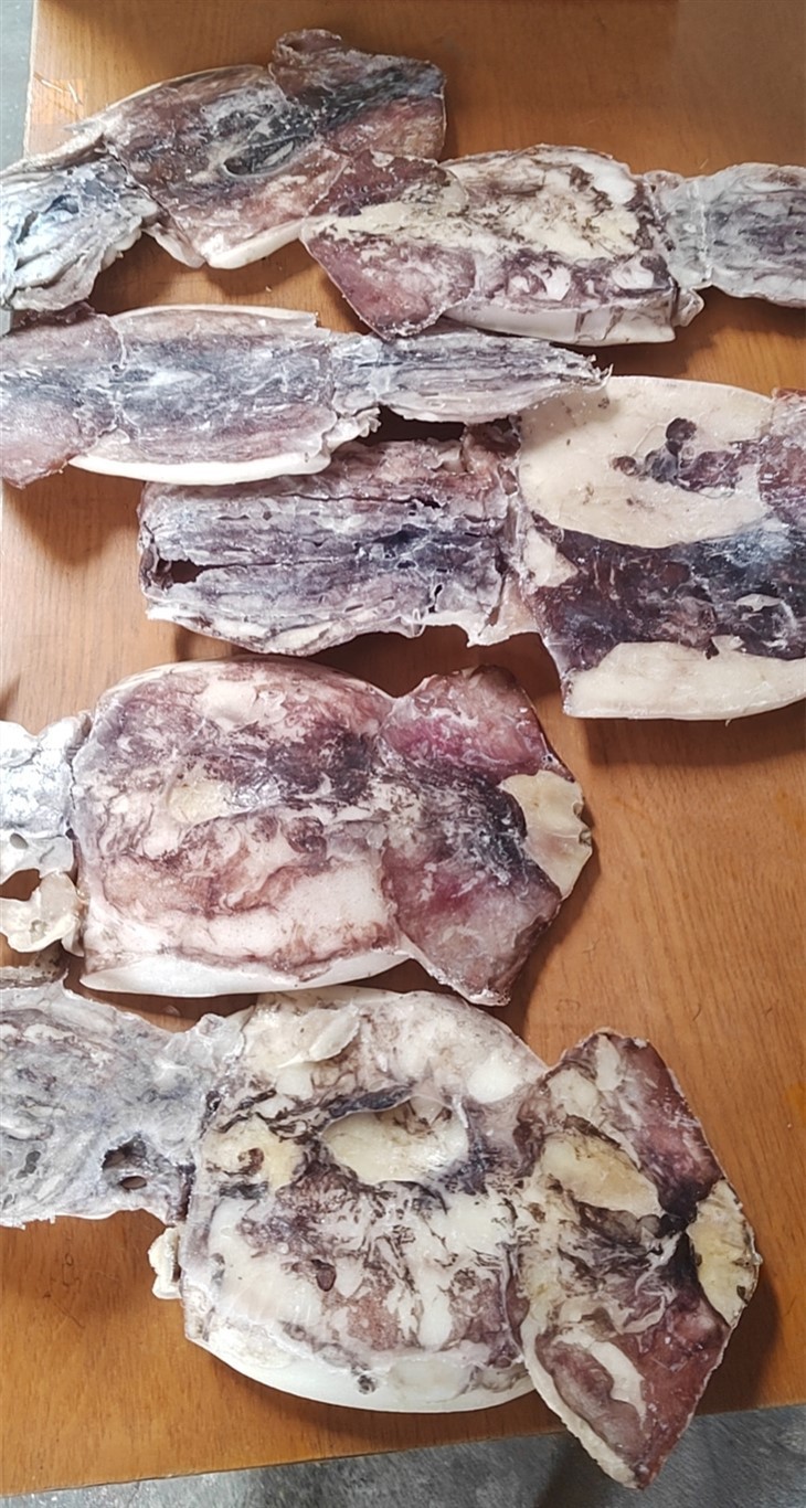 Frozen Sliced Squid