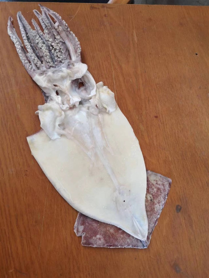 Frozen Sliced Squid