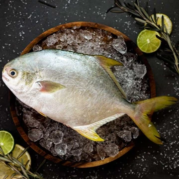 Comment cuisiner du pompano doré extraordinaire