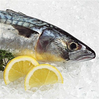 Les exportations vietnamiennes de crevettes, de thonidés, de thon et d'autres...