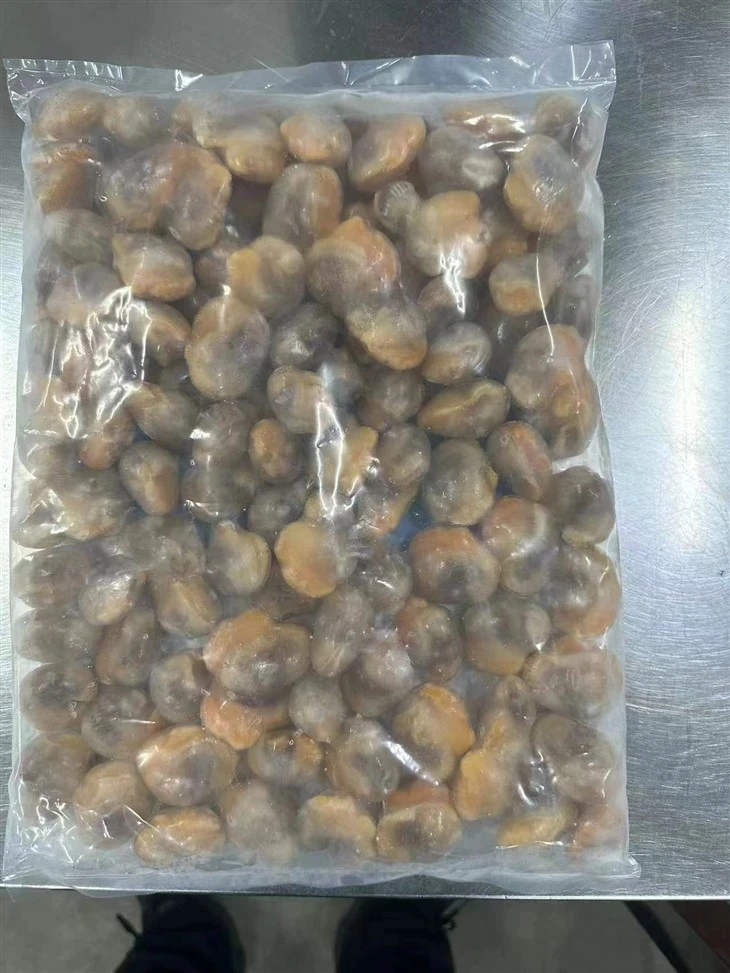 Viande de palourde sanguine congelée