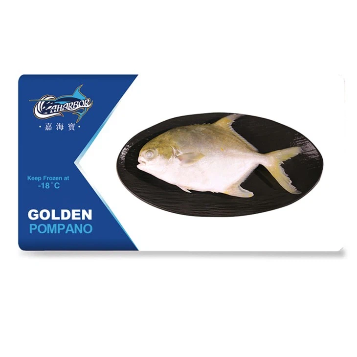 Ivp de pompano doré surgelé