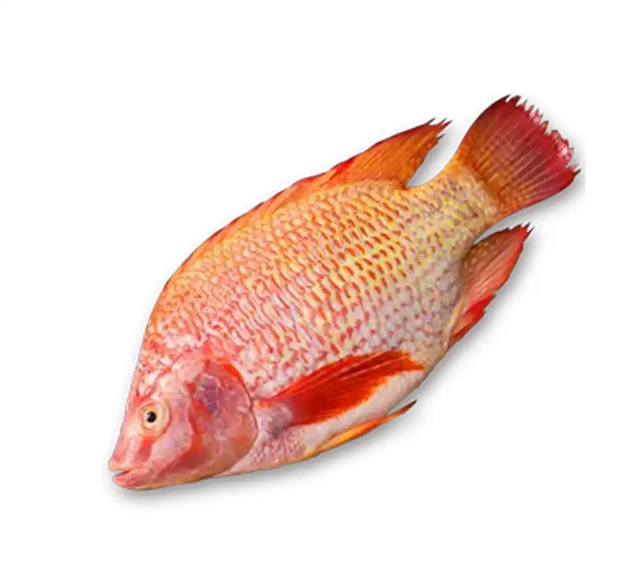 f11f3a292df5e0fecb78e07f622f98a55fdf72ccwebp f11f3a292df5e0fecb78e07f622f98a55fdf72ccwebp