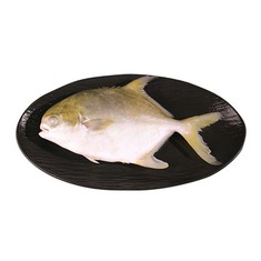 POMFRET DORÉ SURGELÉ DE BON GOÛT